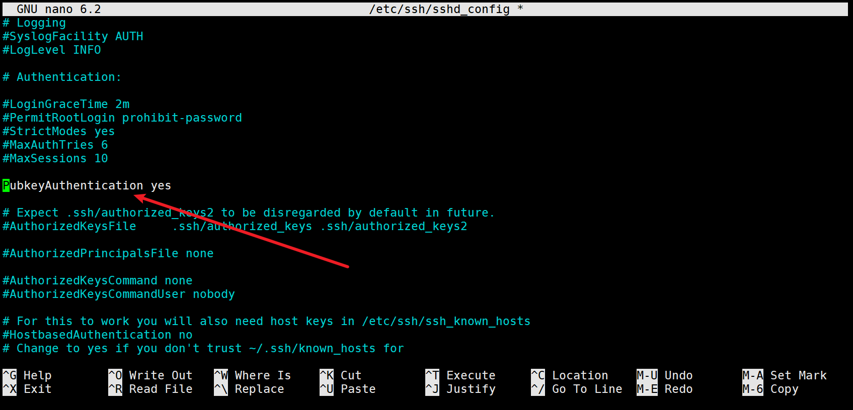 image-20241228145249122