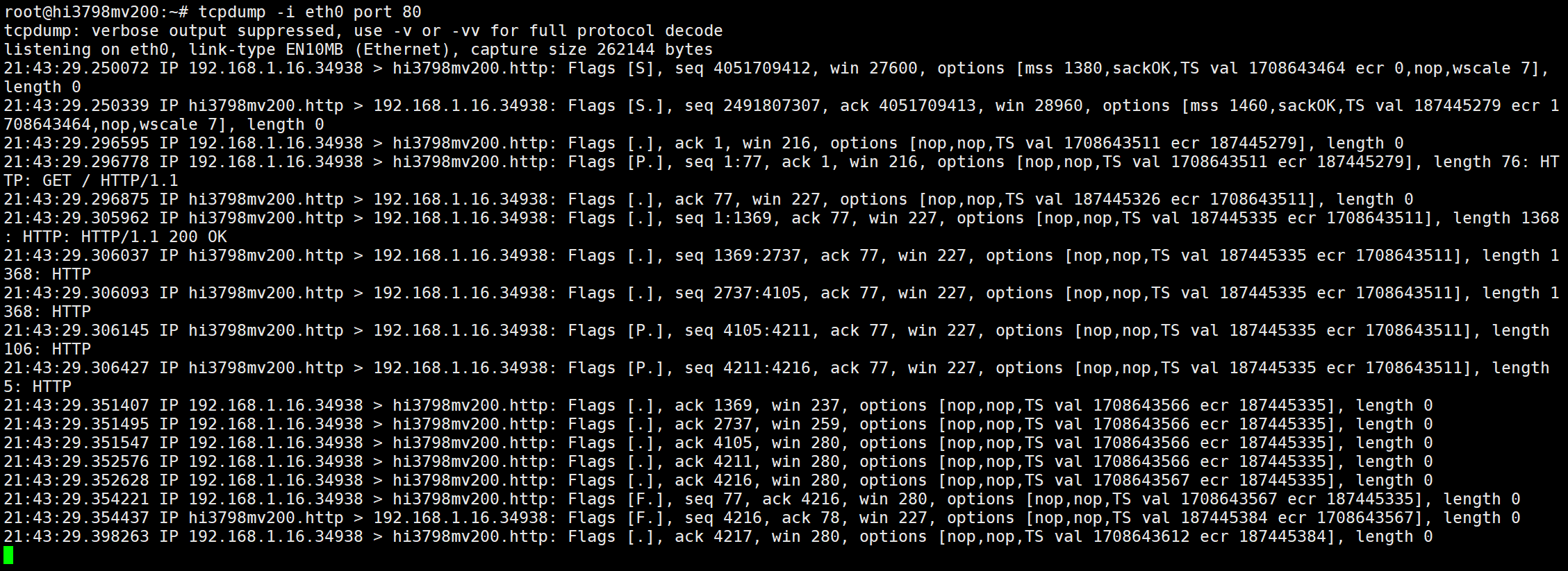 image-20250513214334590